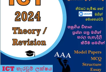 A/L ICT 2024 Theory / Revision