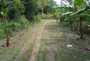 Land for sale in Narammala
